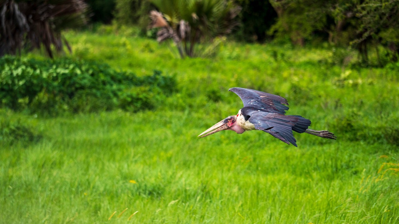 Turismo: Transafrica